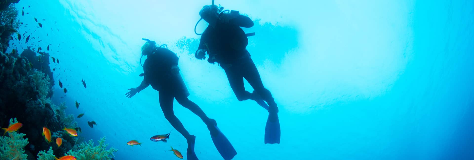 土耳其九大潜水胜地